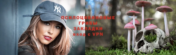 каннабис Баксан