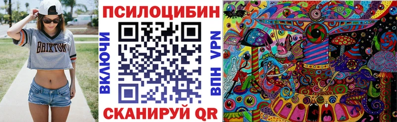Купить где  Гвардейск  Псилоцибиновые грибы Magic Shrooms 